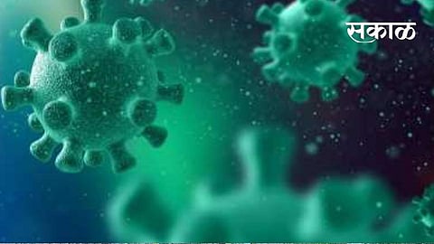 coronavirus impact konkan sindhudurg