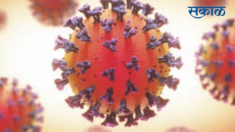coronavirus impact konkan sindhudurg