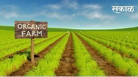Establishment of 2200 Agricultural Producers Associations in the country this year
