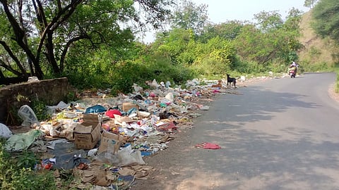 सावधान! सातारा-सज्जनगड मार्गावर कचऱ्याचे साम्राज्य; नागरिकांचे आरोग्य धोक्यात