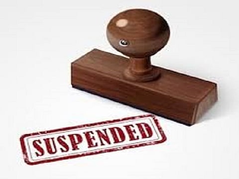 suspended.jpg