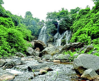 Tourist day satpuda hills