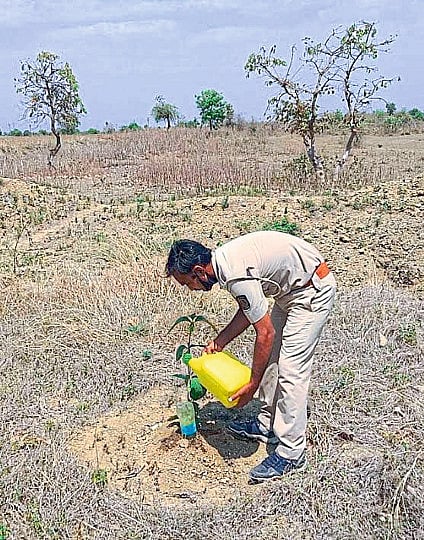 सेवाग्राम : झाडांना पाणी देताना वनरक्षक धनराज मजरे. 