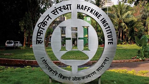 देयके थकल्याने हाफकीनचा औषध पुरवठा बंद करणार; 'ऑल फूड अँड ड्रग्स लायसेन्स होल्डर' फाउंडेशनचा इशारा