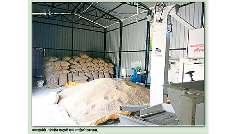 वालसावंगीत शेतकरी बनताहेत उद्योजक