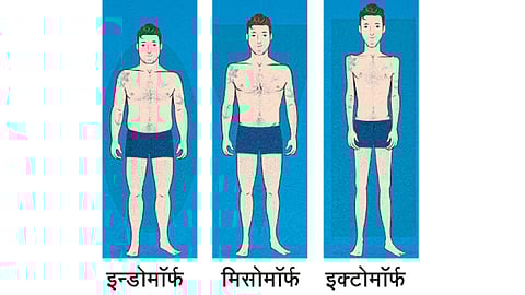 Body-Structure