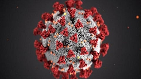 Coronavirus