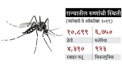 Dengue