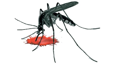 Dengue