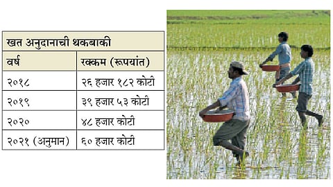 Fertilizer-Subsidy