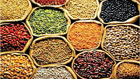 Grain
