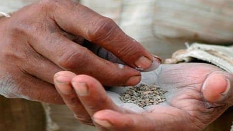 Gutkha
