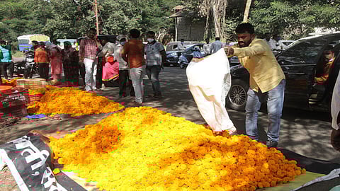 Diwali Festival 2020 : साताऱ्यात झेंडूचा भाव चारशे पर्यंत जाणार?