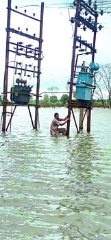 MSEDCL employees go for a swim in the flood