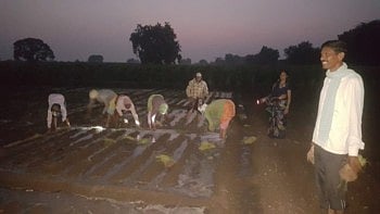 विहिर, कुपनलिका तुडुंब, तरी शेतकर्‍यांना भल्या पहाटे का यावे लागते शेतात, तर मग वाचा !