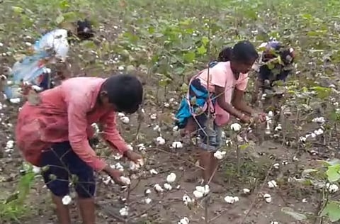 Kapoos vechani