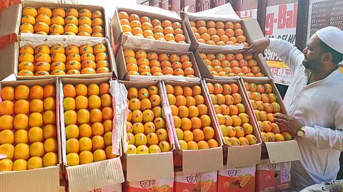 Kinnow orange season begins