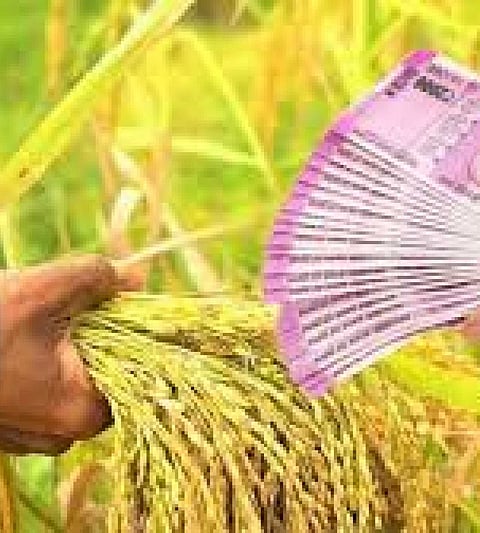 Free Aadhaar certification for farmers to avail of debt relief scheme