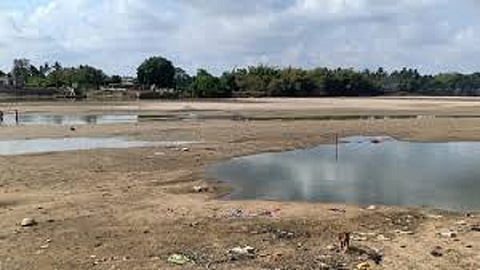 Old cases of non-agriculture resolved within a month nashik marathi news