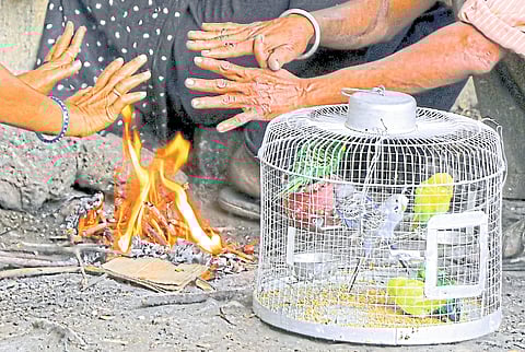 Nagpur became cold