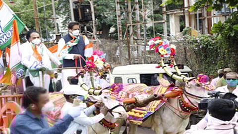 Video : इंधन दरवाढविरोधात पृथ्वीराज चव्हाण यांचे कऱ्हाडात बैलगाडीतून आंदोलन 