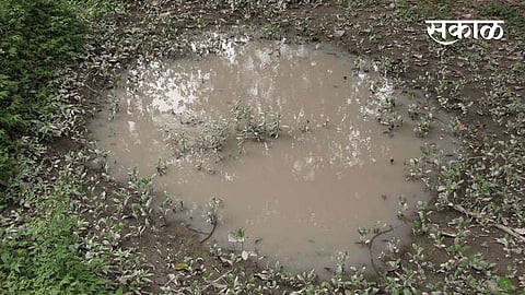 Puddles