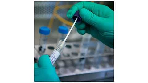 Three corona patients in rapid examination in Shrirampur