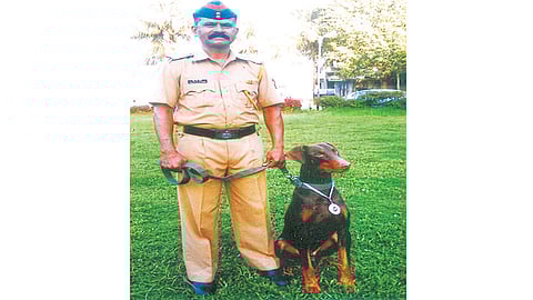 चोरट्याचा साता-यातील "रिओ'ने घेतला अचूक वेध