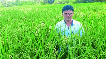 Organic farming flourished by a highly educated youth from Patna