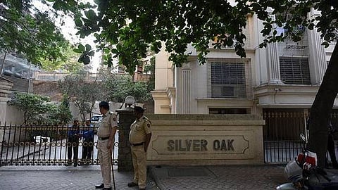 Silver-Oak