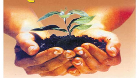 जळगाव जिल्ह्यात २१ लाख वृक्ष लागवडीचे लक्ष्य