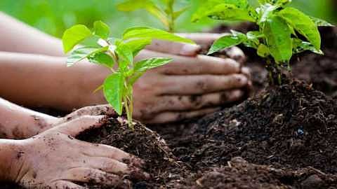 Various activities were enthusiastically organized on the occasion of the birthday of MP Sharad Chandra Pawar organized by Rayat Educational Complex at Boravke College