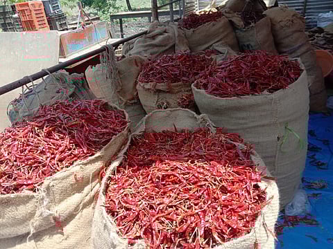 लाल मिरची लागली झोंबू! कोरोनाच्या प्रादुर्भावातही सुकलेल्या लाल मिरचीचे भाव दुप्पट... 