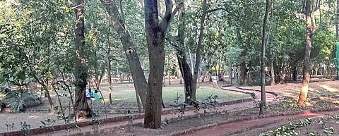 don't touch Sangli's lungs- Amrai