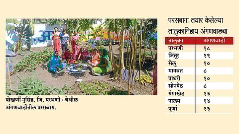 कुपोषणमुक्तीसाठी ११३ अंगणवाड्यांत परसबागा