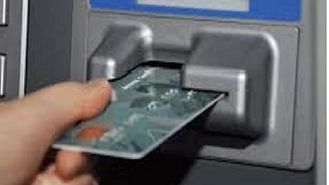 snake in ATM one women seen this in ratnagiri