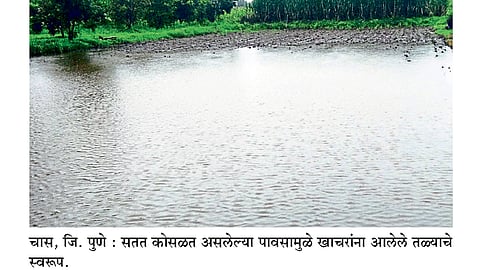 चास परिसरातील पिके पाण्याखाली 