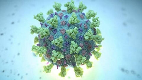 संग्रहित चित्र.