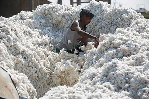 cotton center