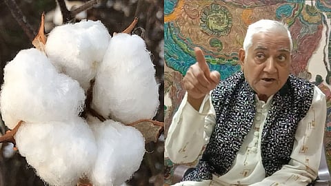 काडं झालेत हाडाचे, पाट घामाचा वाहिला, बोंड बोंड वेचताना, ढीग कापसाचा झाला