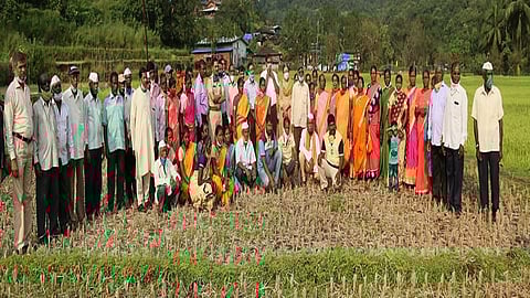 kokan farmer farming story 27 farmers have come together and implemented village seed production project for Konkan Agricultural University