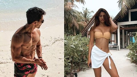 bollywood actress disha patani commented on shirtless photo of tiger shroff