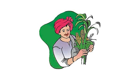 Sanctuary, Dam Victims Do Not Get The Benefit Of Farmer's Honor Scheme Kolhapur Marathi News