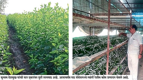 एकमेका साह्य करू अवघे धरू सुपंथ