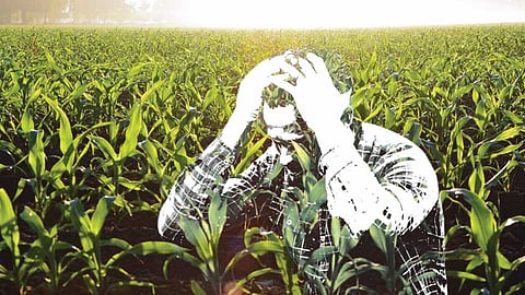 yavatmal collector helps to 33 farmer suicide affected family 