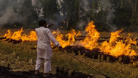 farmer fired his soyabean crops as state government is not helping him  