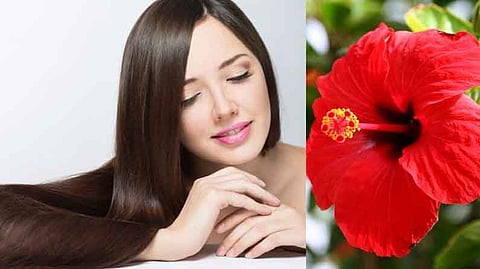 Try putting Jaswant flowers on the hair It will have many benefits