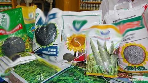 hybrid seeds