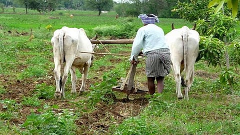 indian_farmer_budget 2020.jpg