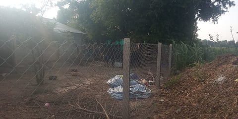 Protective nets planted by farmers for animal safety